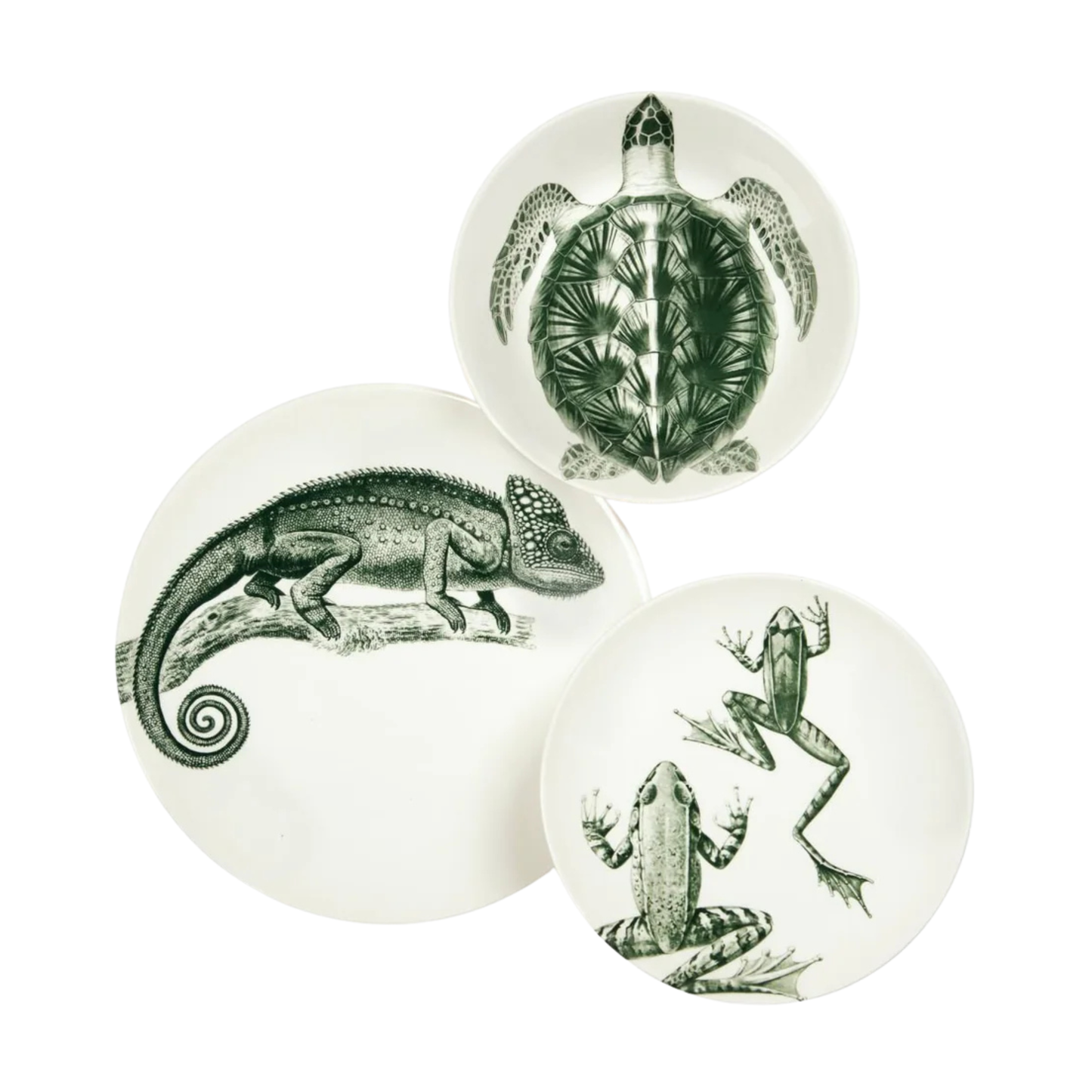 Servizio piatti FLORA e FAUNA n°8